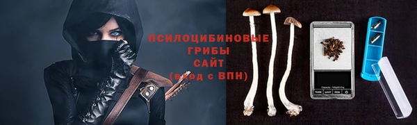 MESCALINE Белокуриха