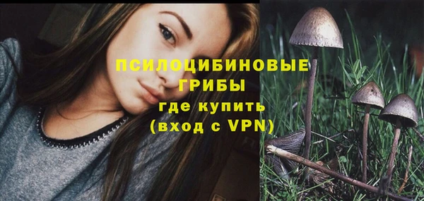 крисы Беломорск