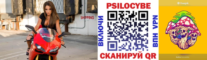 Галлюциногенные грибы Psilocybe  Котово 